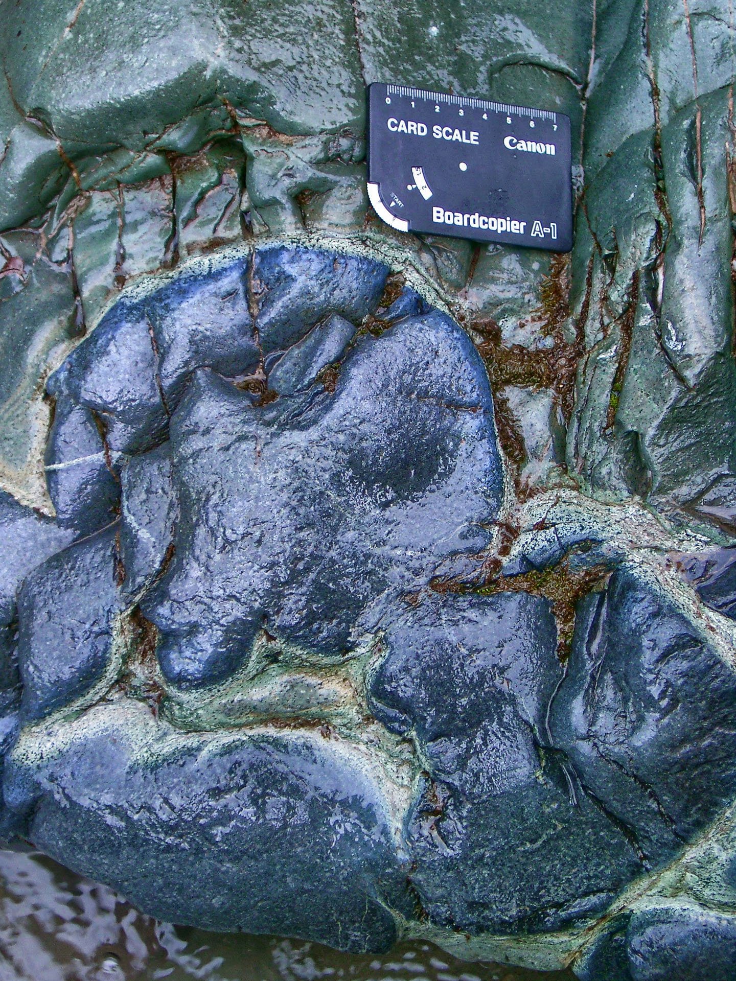 photo32.jpg