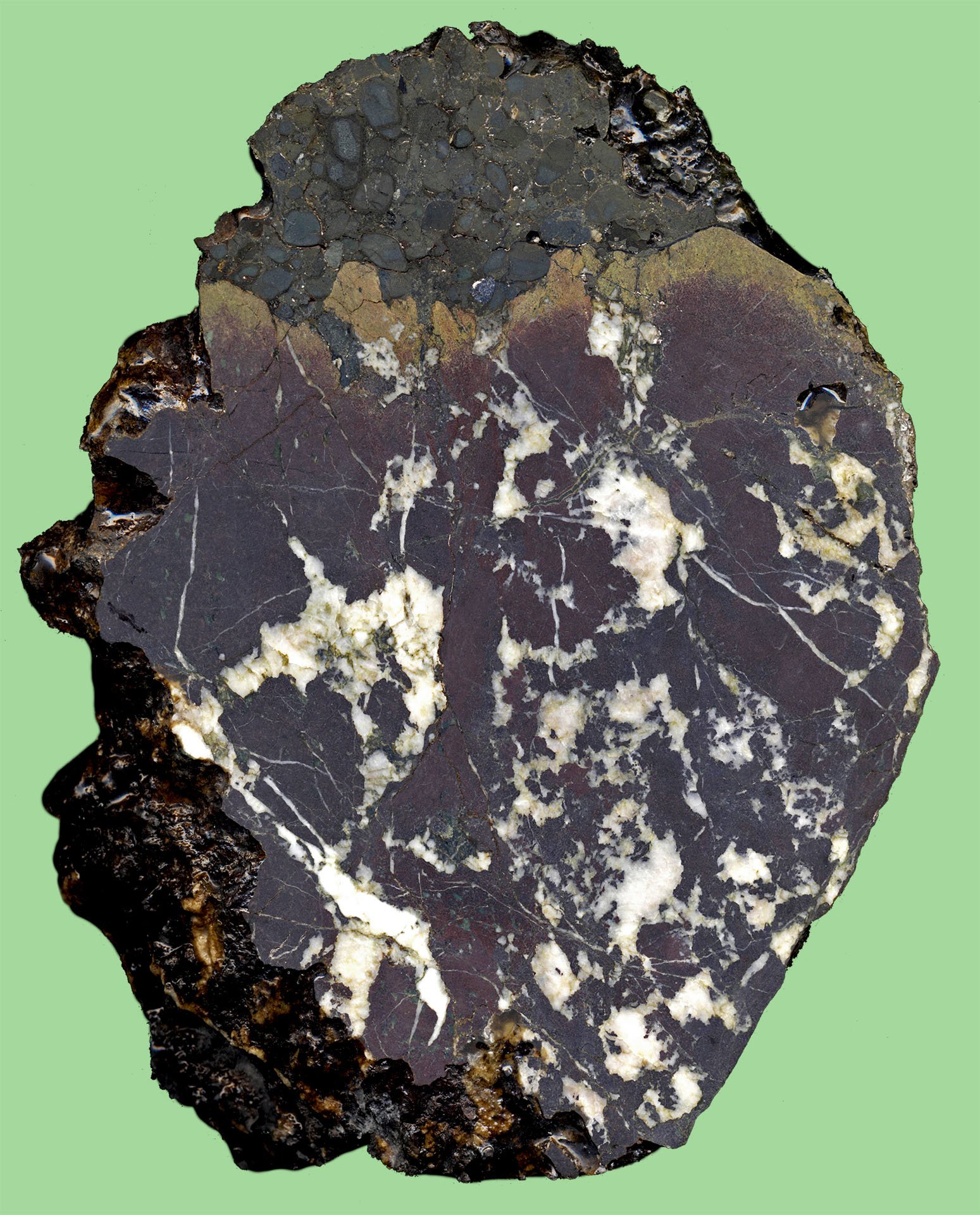 photo43.jpg