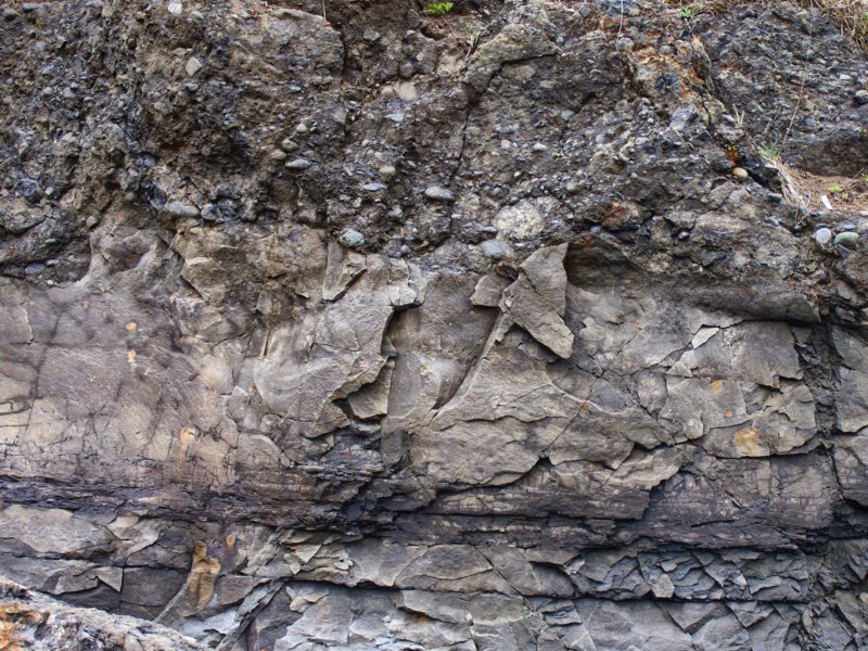 photo5.jpg