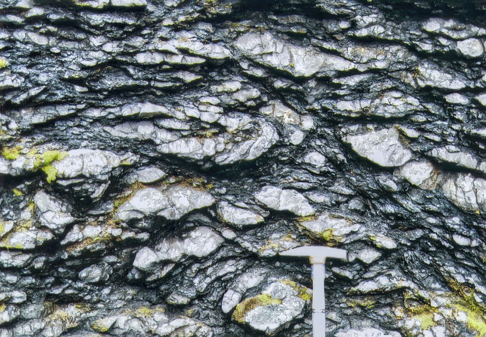 photo13.jpg