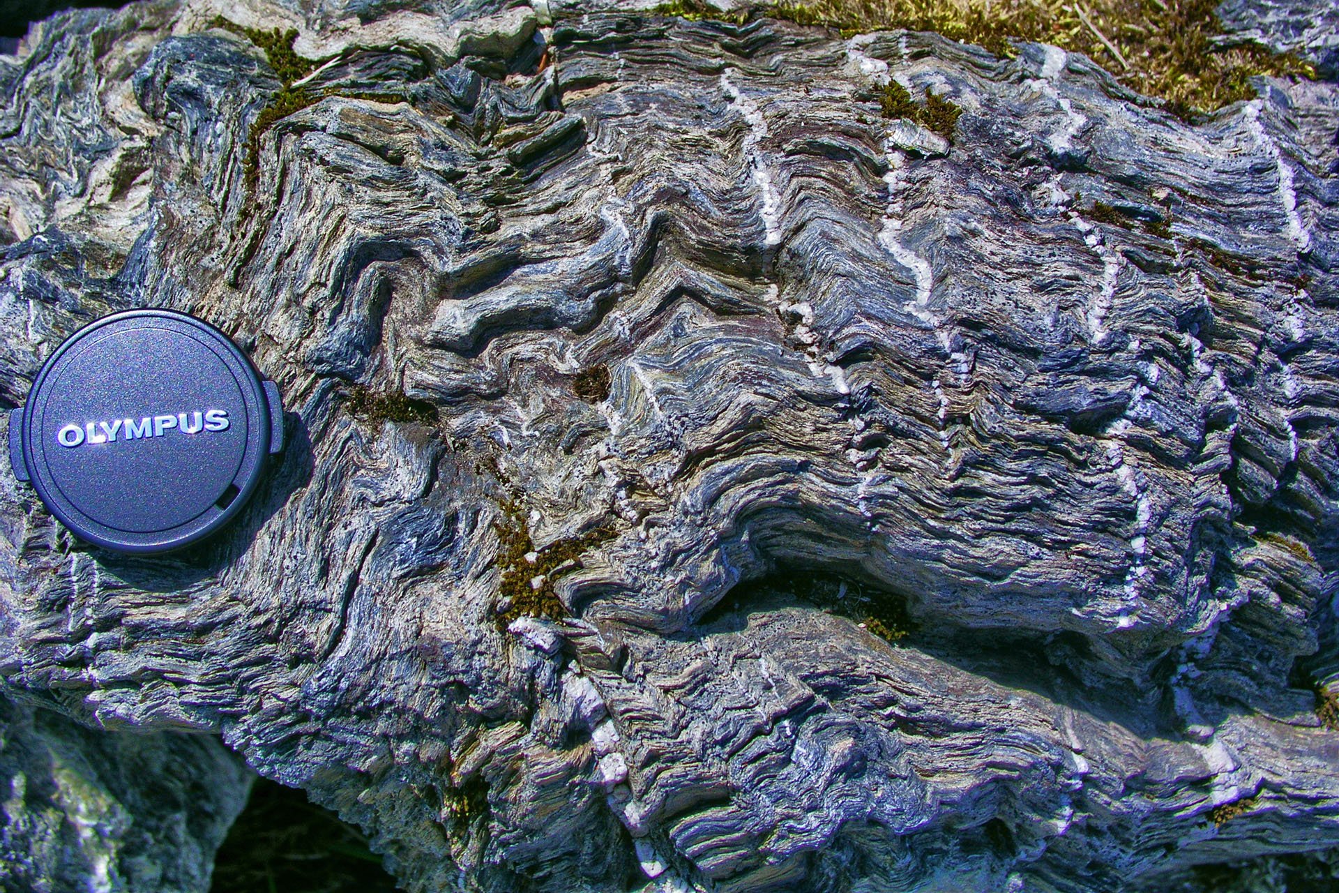 photo14.jpg