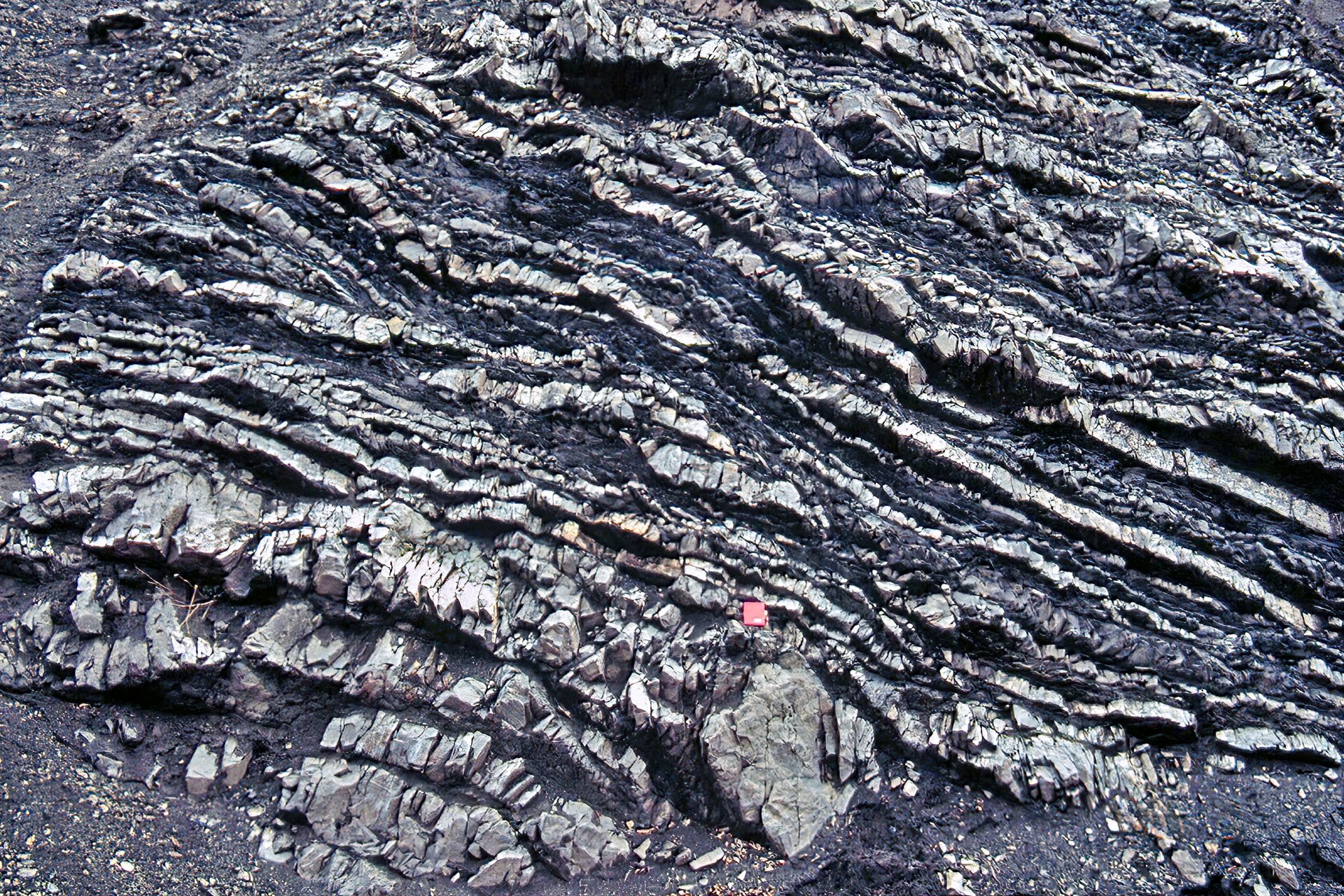 photo21.jpg