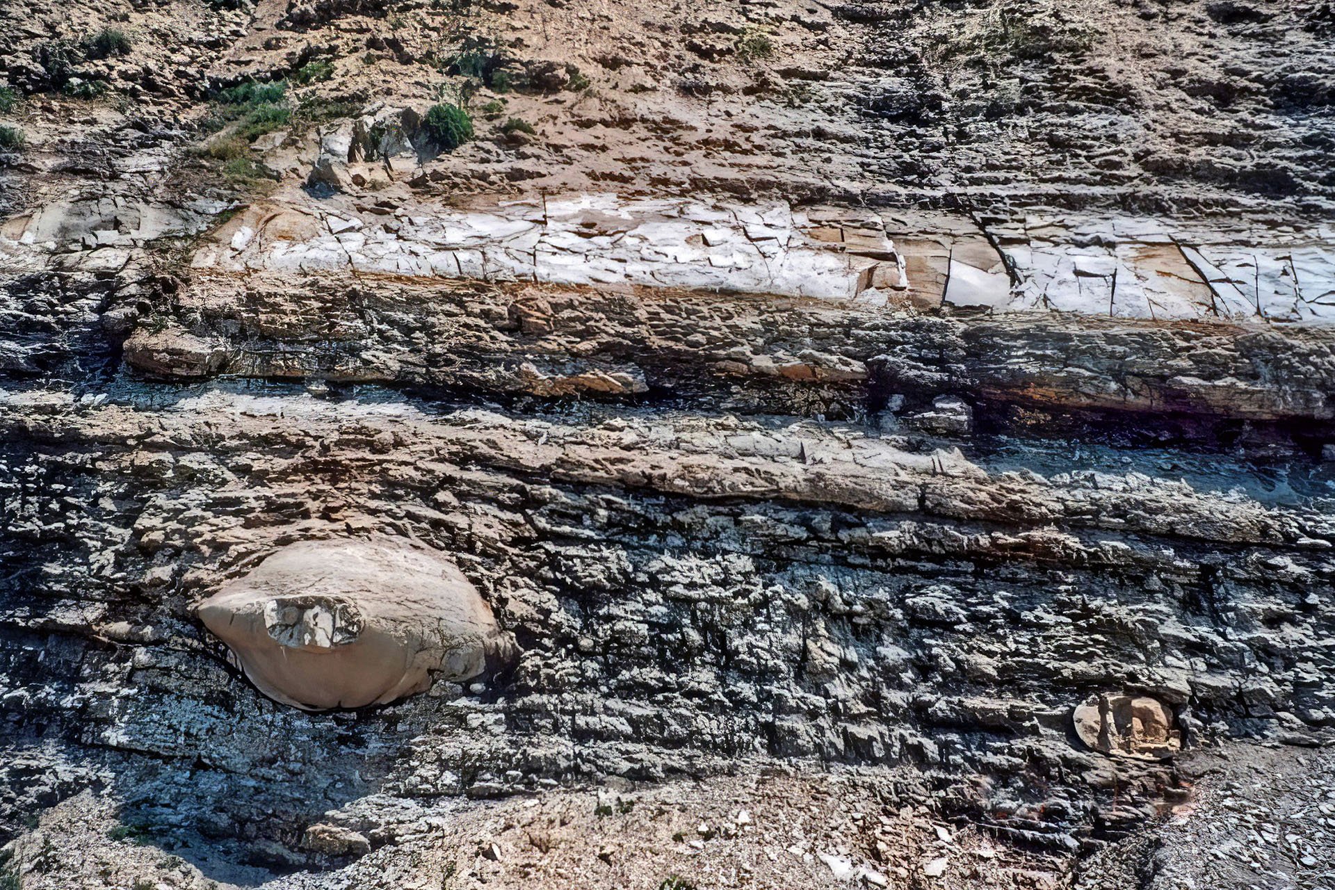 photo27.jpg