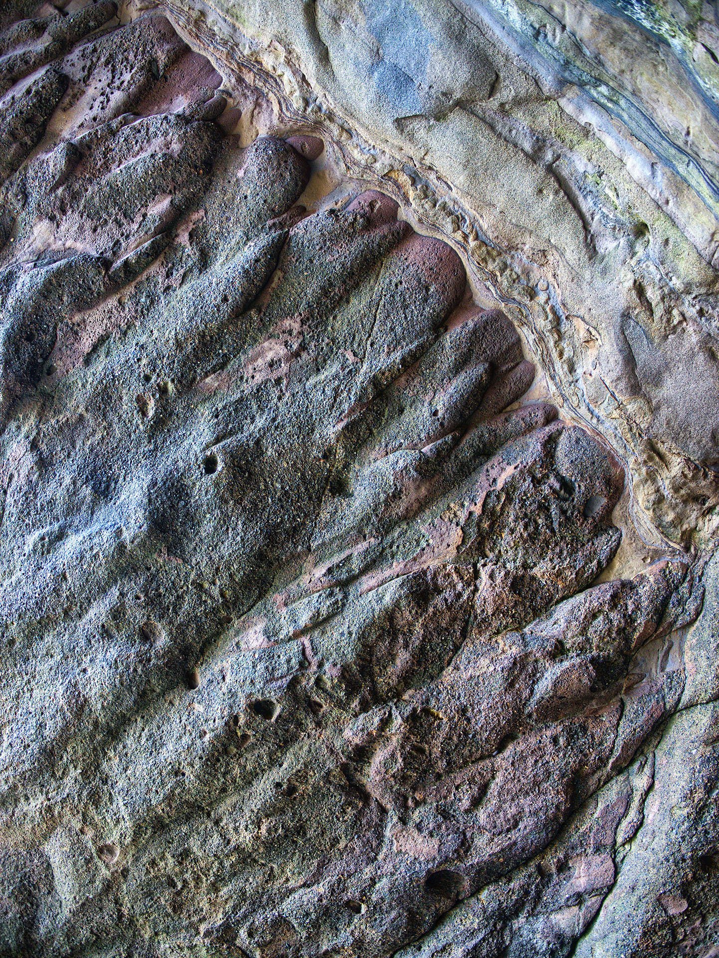 photo8.jpg