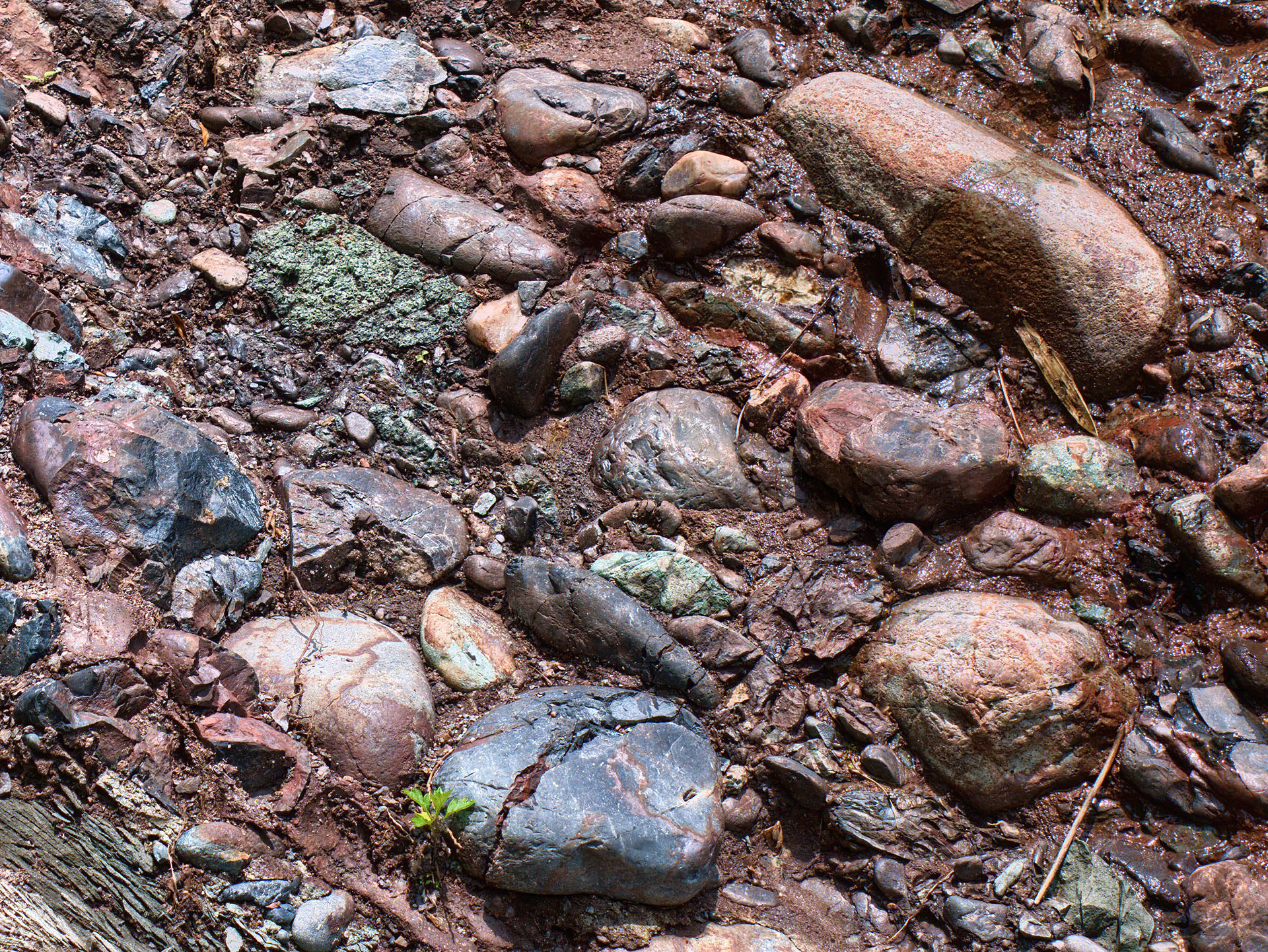 私的・北海道地質百選『赤はげ礫岩』