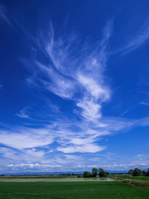 Blazeing Early Summer Clouds