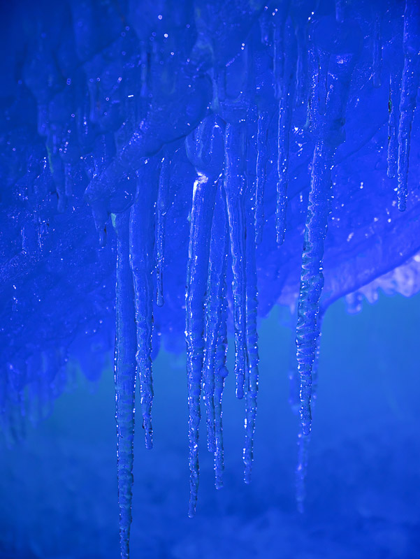 Blue Icicles in Blue