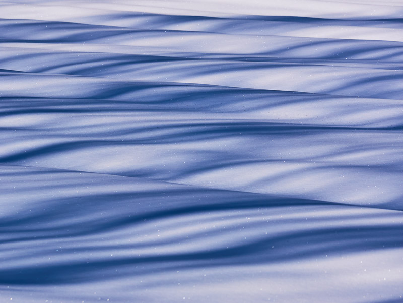 Blue Tree Shadows Undulated