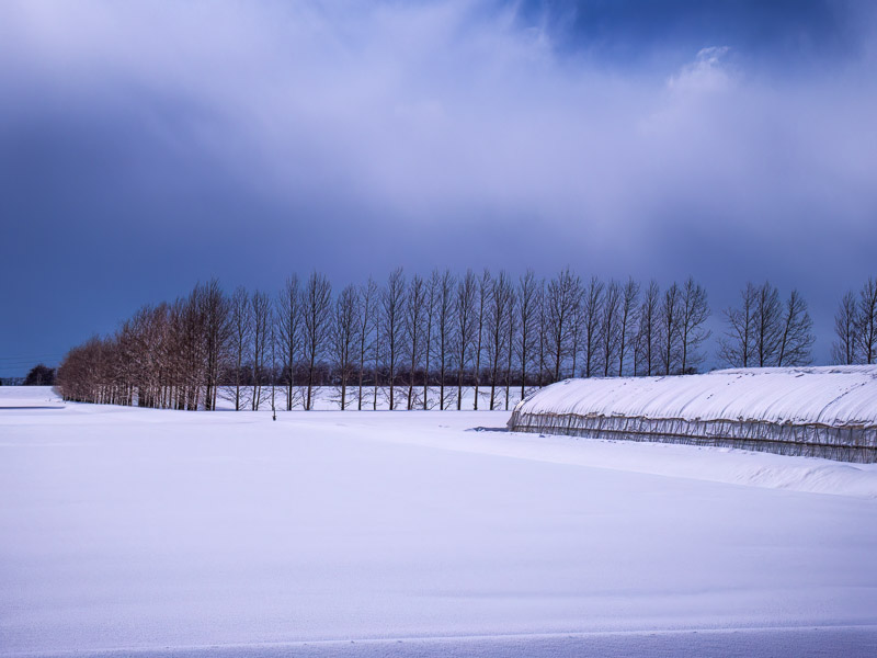 Calm Winter Rural Moment