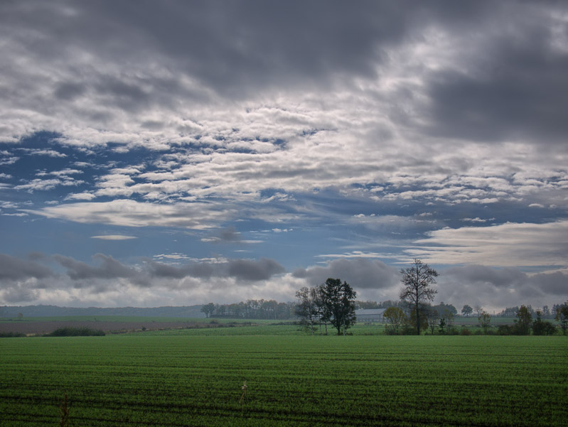 Clearing Fog Sky Above Field