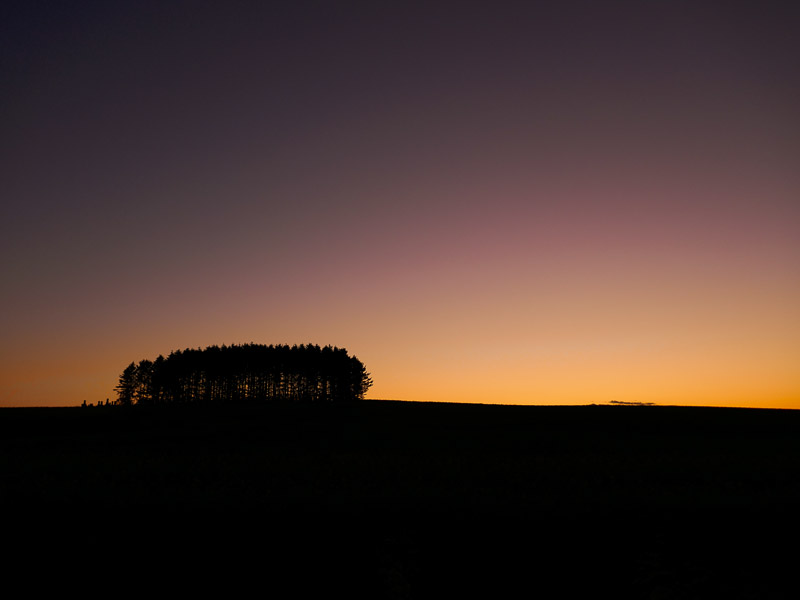 Deep Dusk Humble Woods