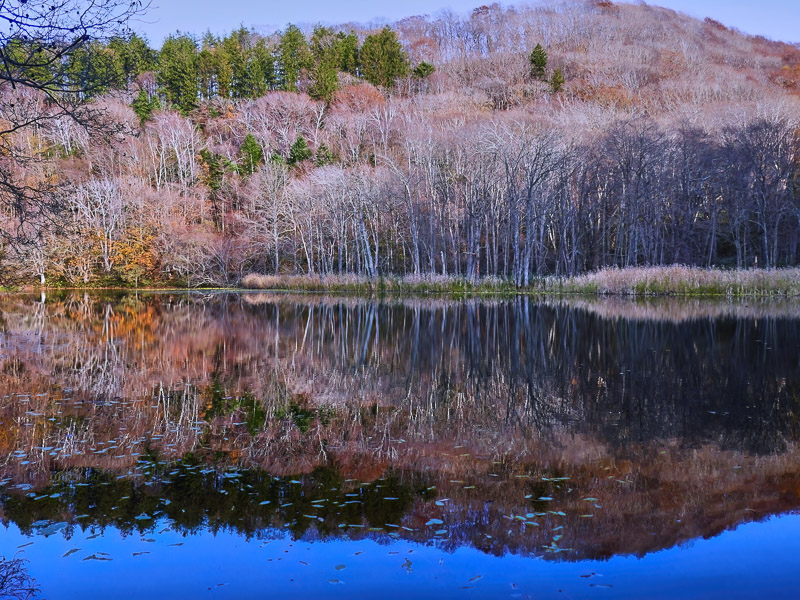 Deep Mountain Lake Reflection