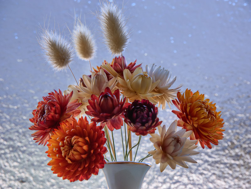 Dried Flowers with Frosted Glass Background