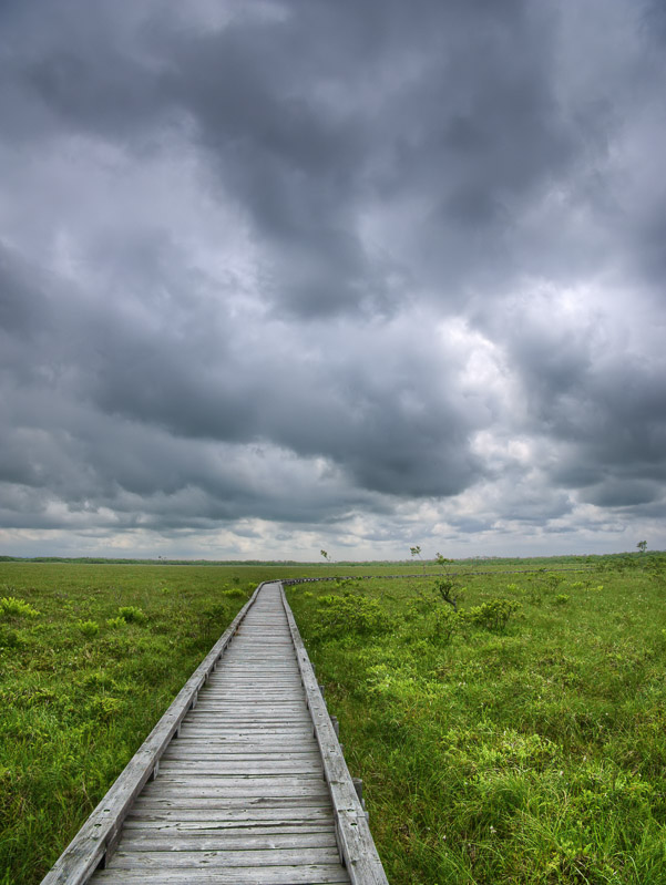 Empty Boardwalk in Cloudy Marsh