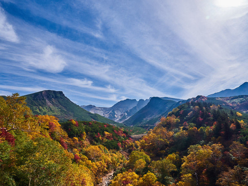 Fall Colors in Volcano Range