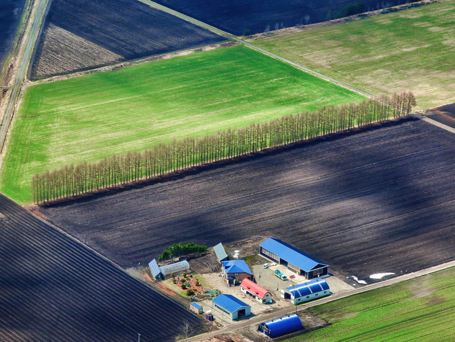 Farm Field Looked Down from Sky