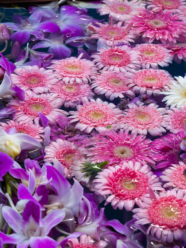 Flower Arrangements on Water