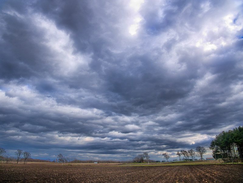 Gloomy Late-autumn Sky