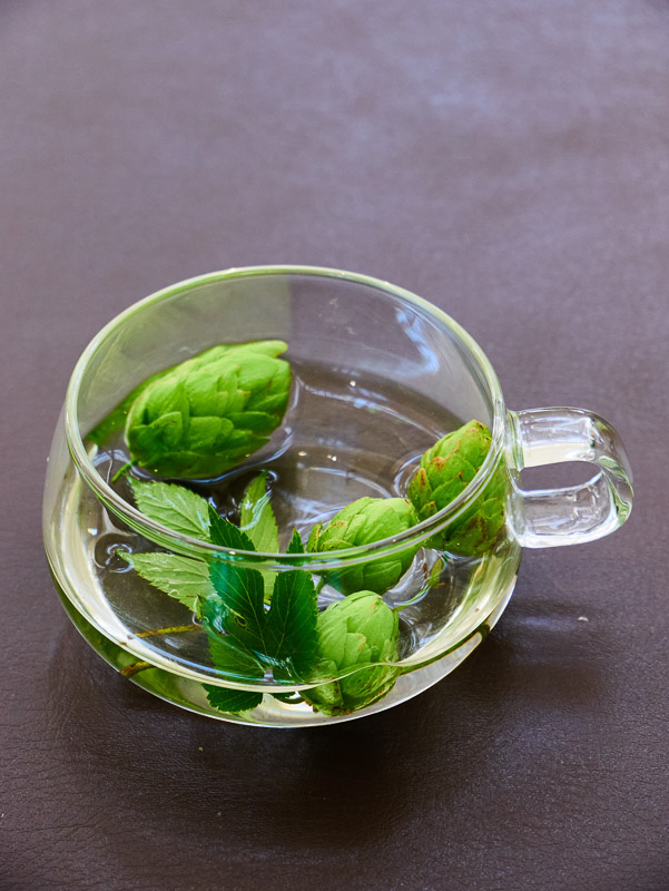 Green Hops in Glass Cup