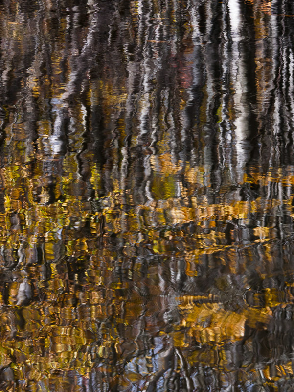 Impressionistic Autumn Rippled Reflection