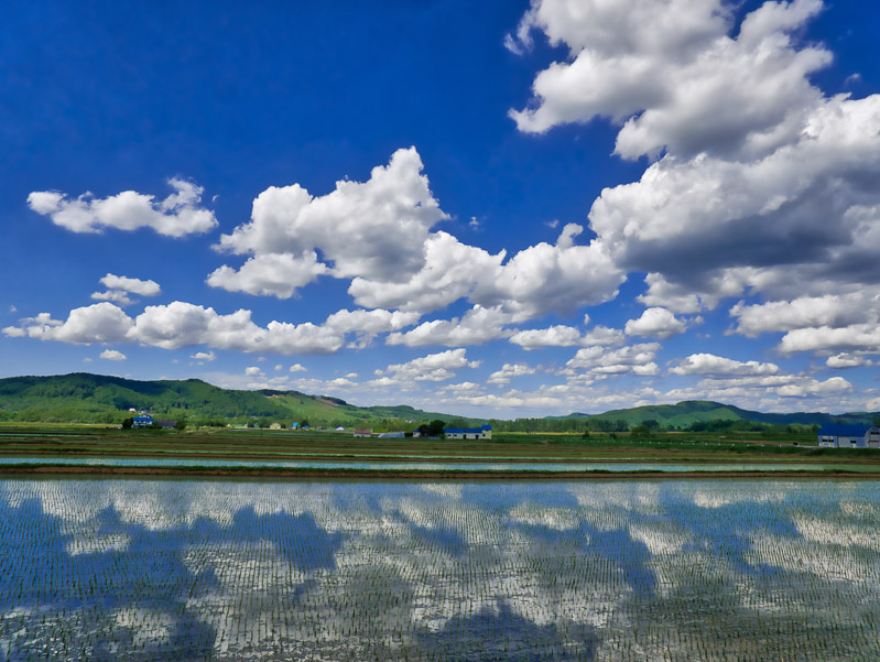 Japanese Rural Mirror Image