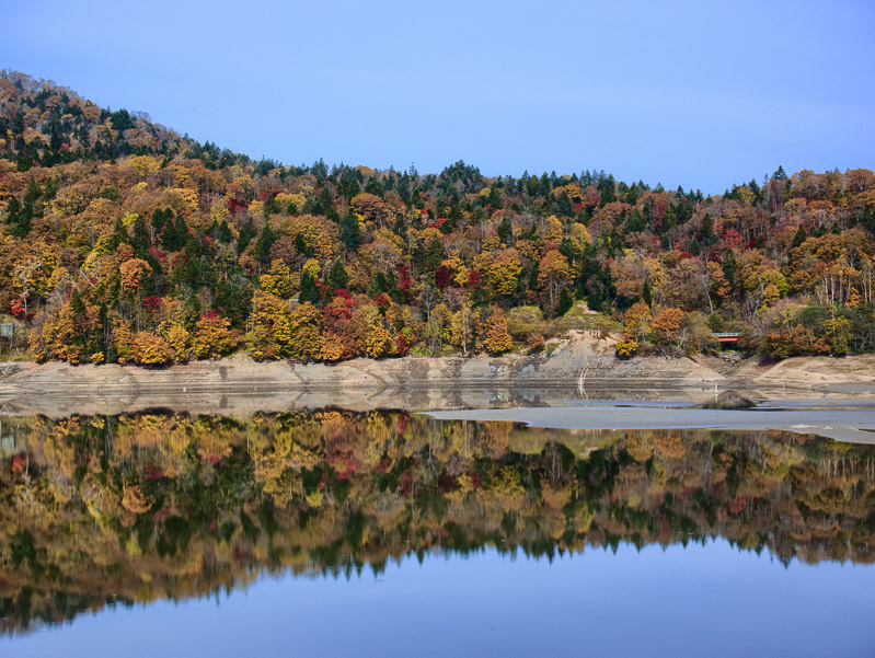 Late Autumn Mirrorimage