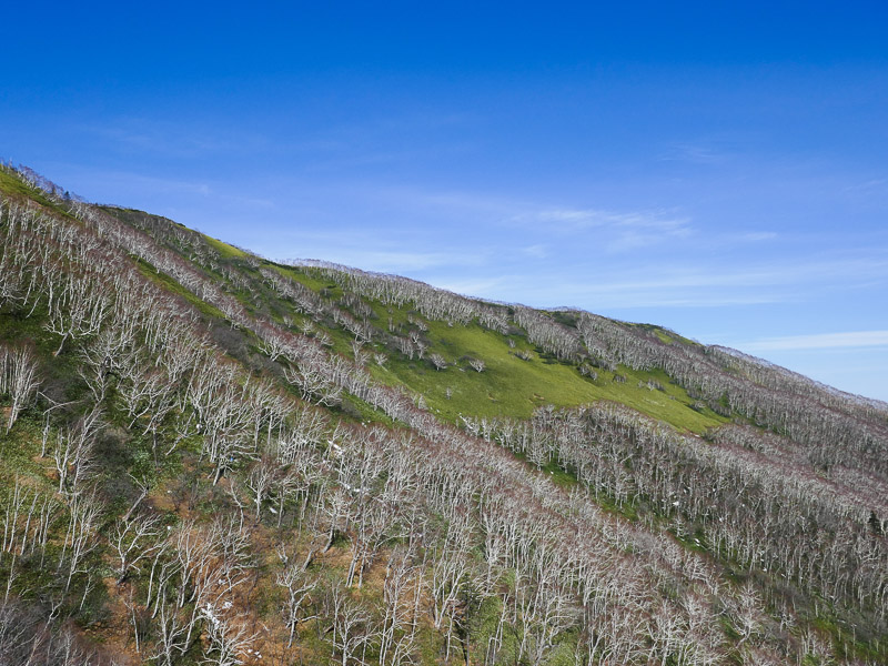 Late Fall Mountain and Clear Sky