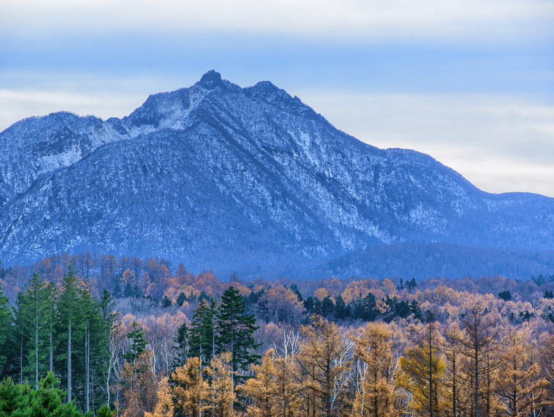 Late Fall Volcano Figure