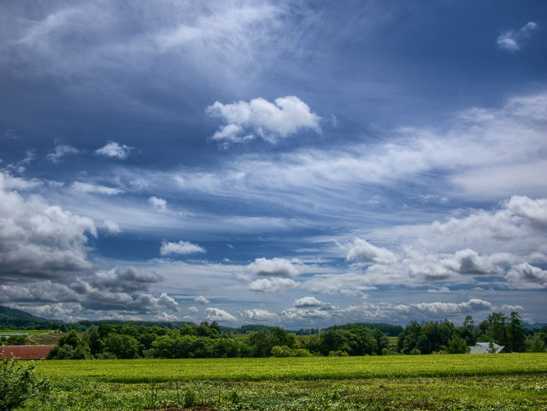 Late Summer Back-lit Dark Sky