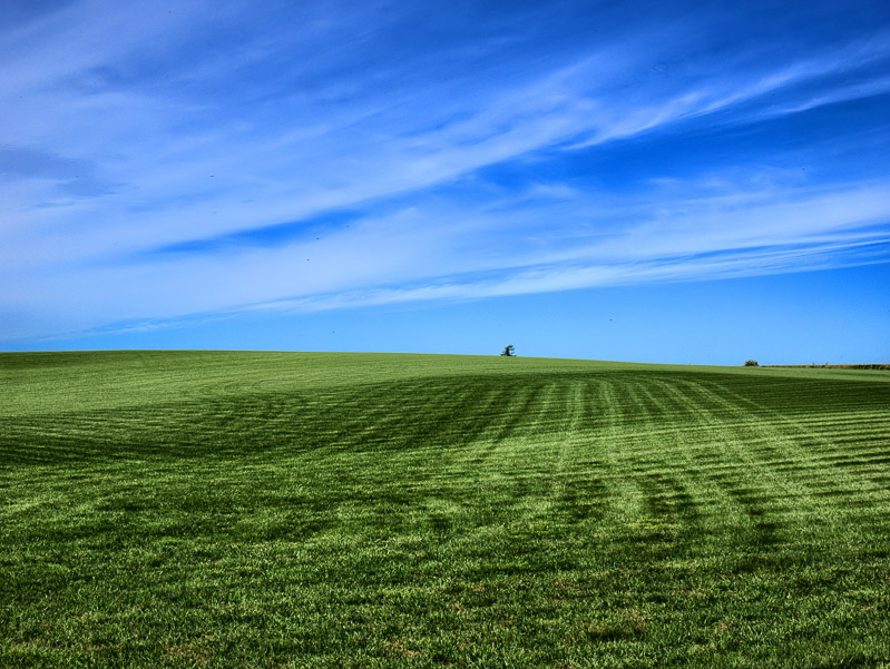 Like a WindowsXP Wallpaper