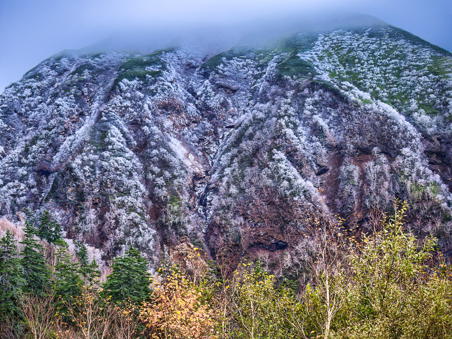 Mountain Slope of Trees with Frozen Fog