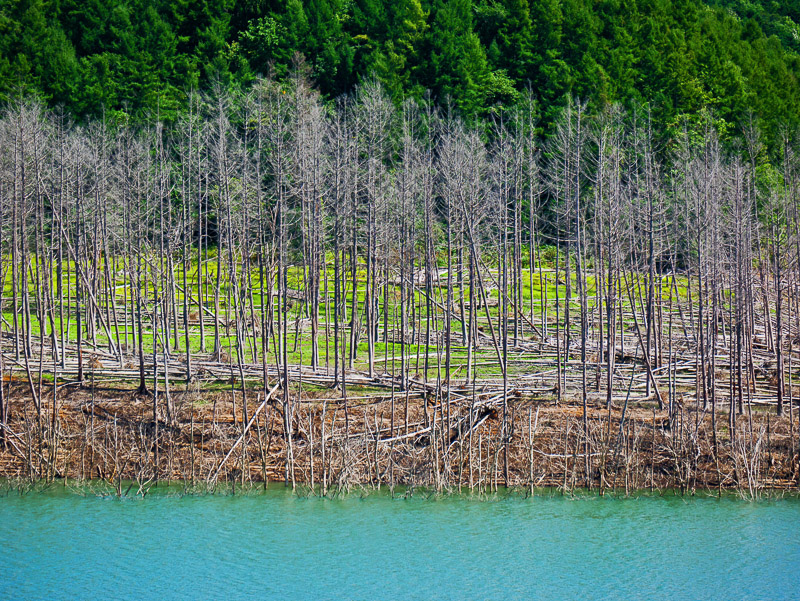 Multi-Zoning with Drowned Trees