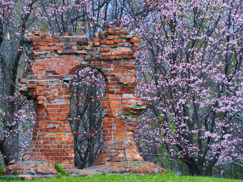 Old Brick Gate in Cherry Blossoms