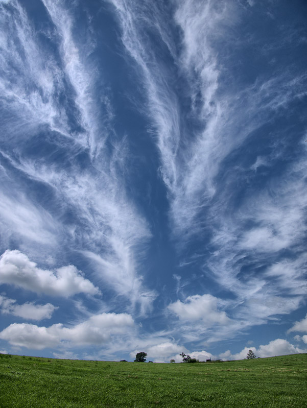 Radiated Clouds over the Grassland