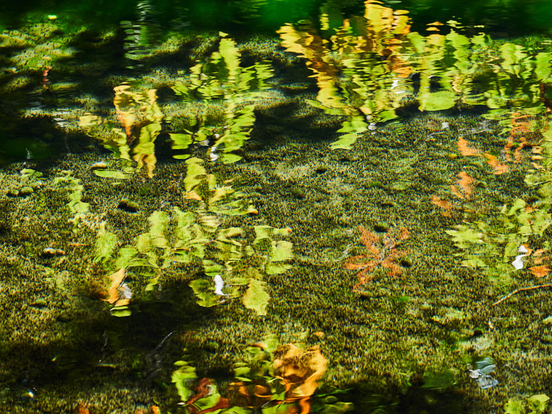 Reflection on Clear Spring Water