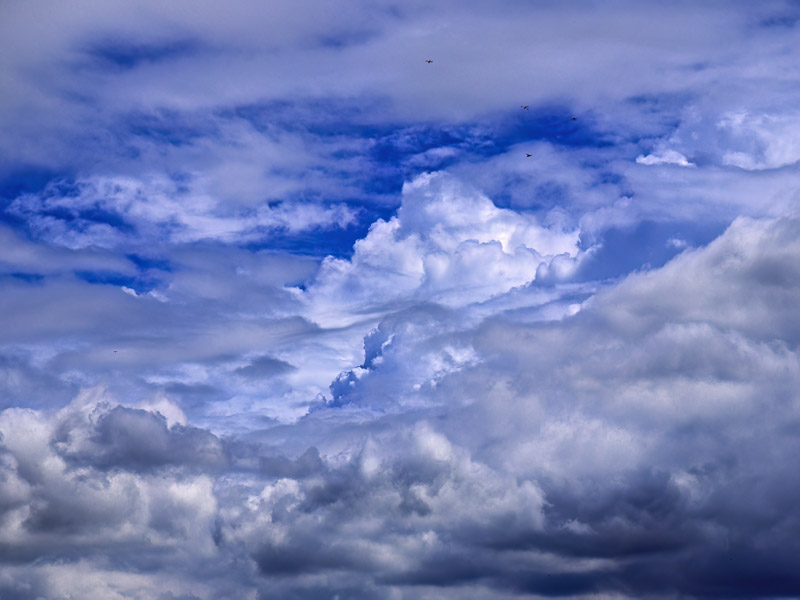 Relief and Vital Clouds of Summer