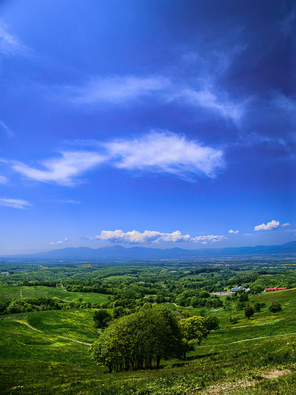 Rural Green under Deep Sky