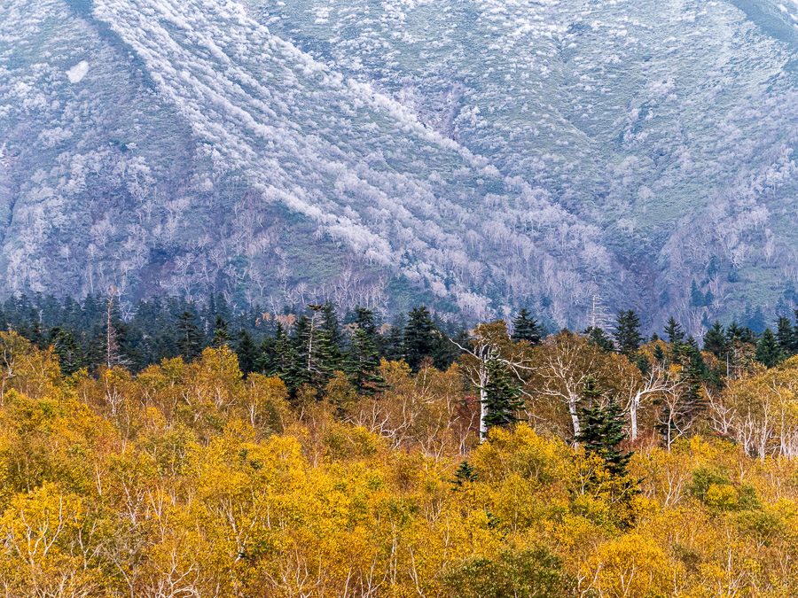 Scene of Two Cold Seasons