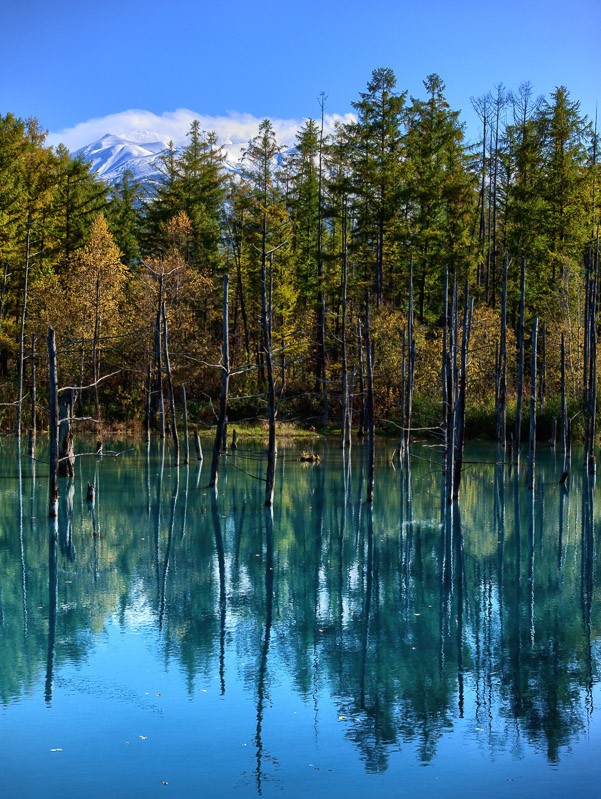 Scene of Volcano and Blue Pond