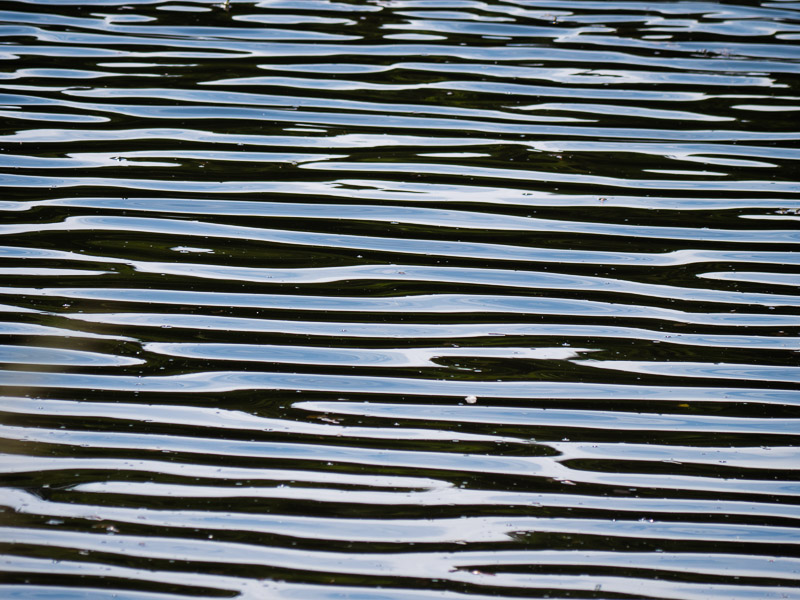 Striped Ripple Pattern on Water