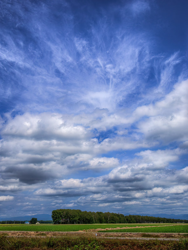 Summer Clouds Sky Scene