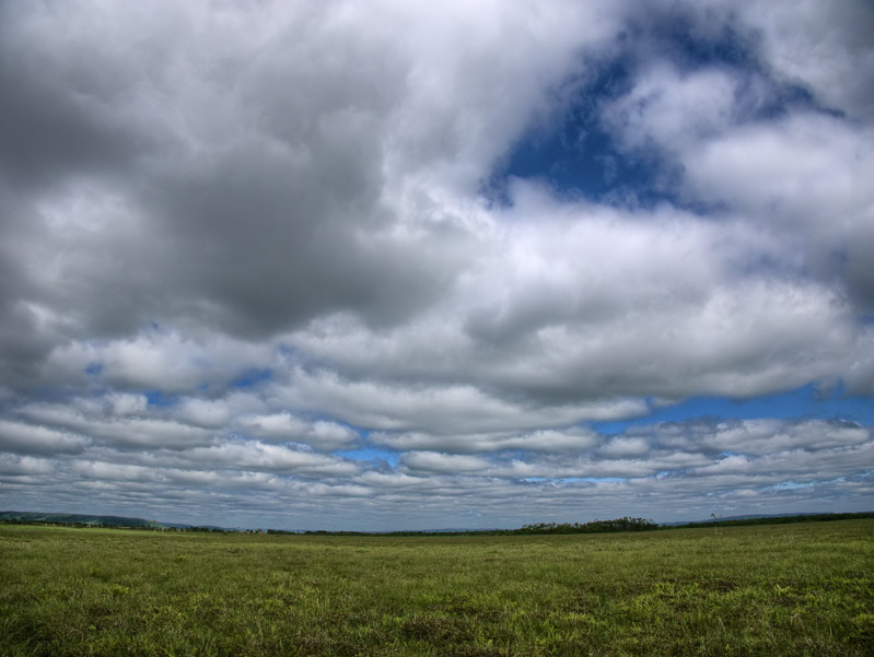 Summer Clouds over the Marshland