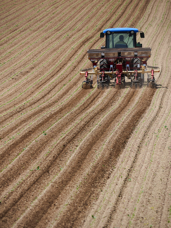 Tractor on the Farming Work