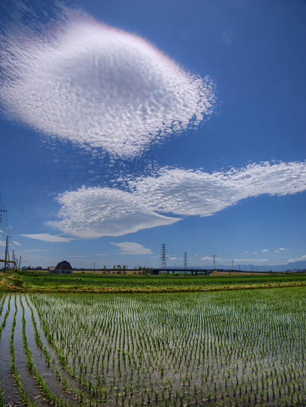 Transforming Lenticularis Clouds