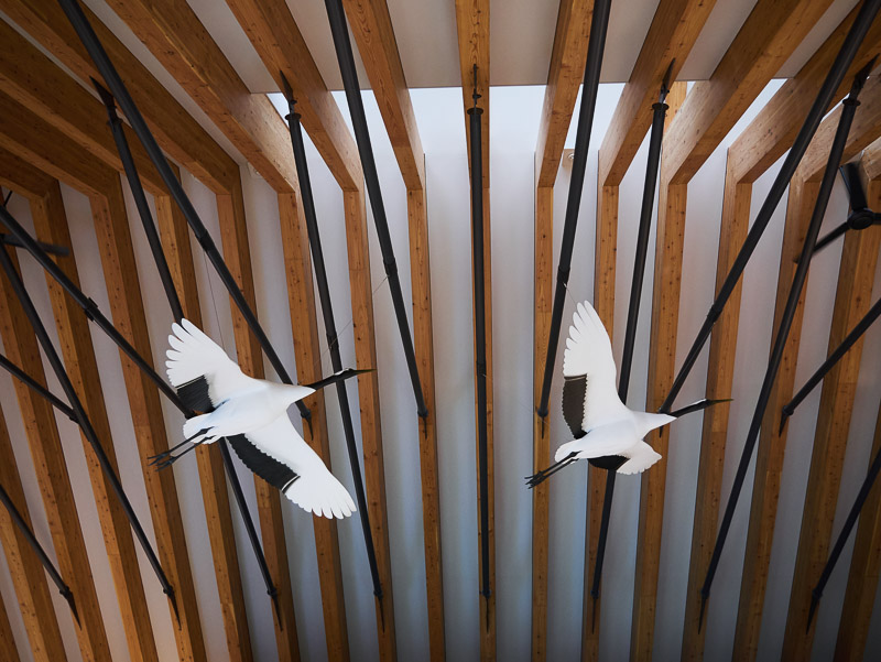 Two Cranes Flying Indoor