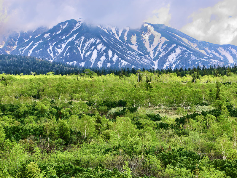 Two Seasons in Spring Mountain