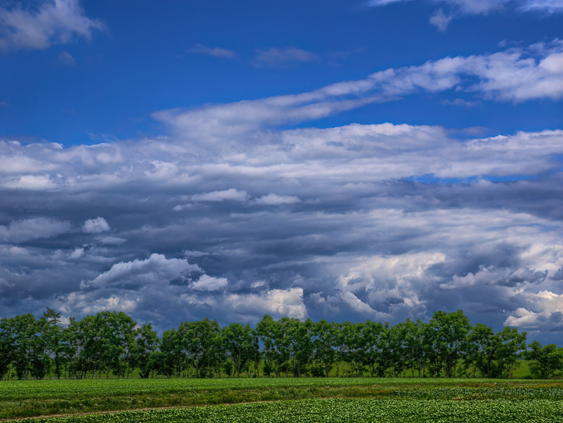 Unquiet Summer Clouds