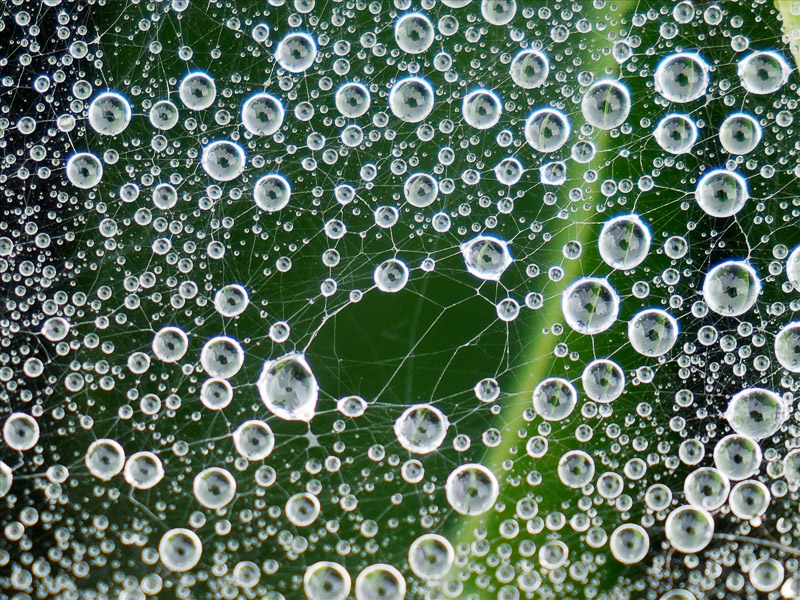 Waterdrops Framework